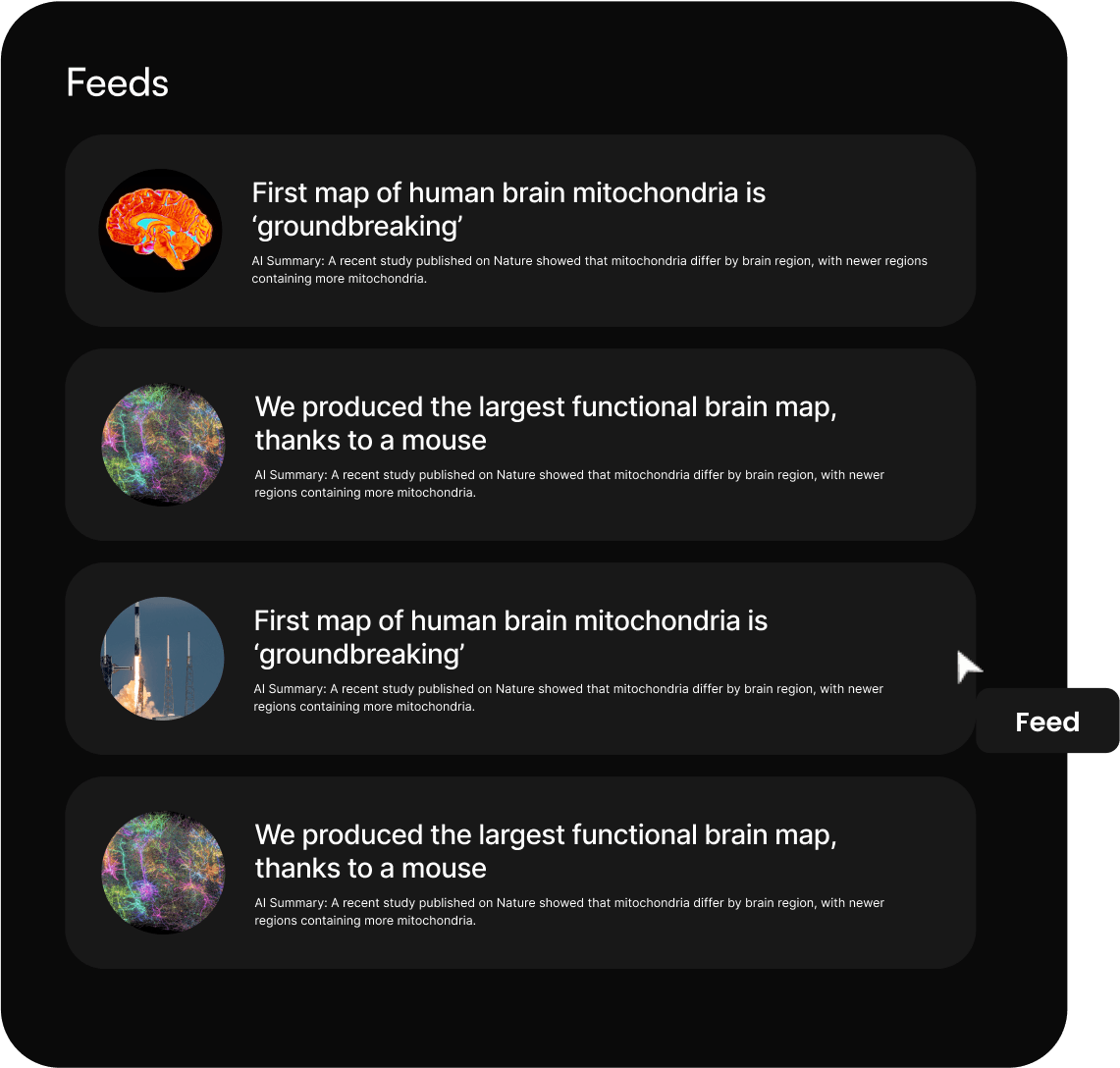 Stay Ahead Dashboard Mockup